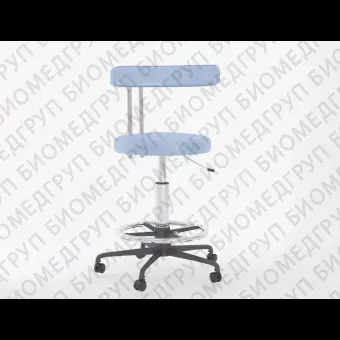 ARZ69BF стул с пластиковой основой