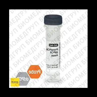 Набор HRAS G12V мутация PrimePCR ddPCR, 200 реакций, BioRad, 1863108