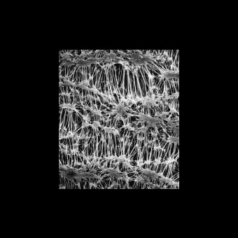 Фильтр, Флуоропор, d пор 0,5 мкм, d мембраны 25 мм, 100 шт., Merck Millipore, FHLP02500