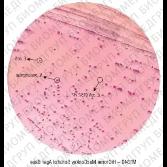 Основа агара МакКонки с сорбитом HiCrome для энтеротоксигенных E.coli 500 г ФСЗ 2009/03705