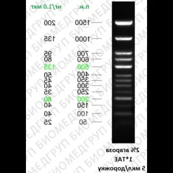 ДНКмаркер Step 50plus, 13 фрагментов от 50 до 1500 п.н., готовыи к применению, 0,1 мг/мл, Диаэм, 3364, 50 мкг