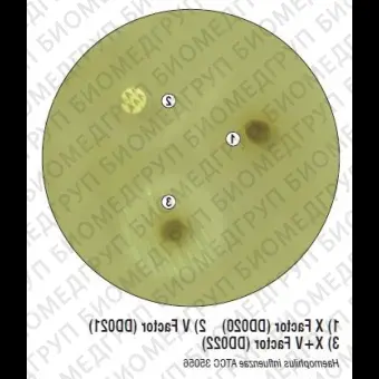 Диски с ХVфактором 50шт/флак. ФСЗ 2009/03634