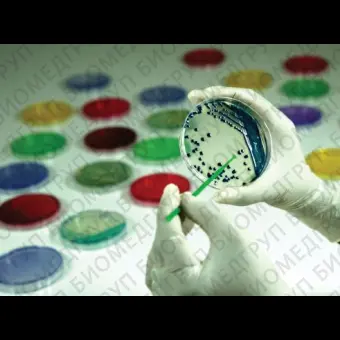 Агар селективный HiCrome для выделения Acinetobacter spp. по Лиду основа ФСЗ 2012/12473