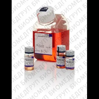 Набор PSC Dopaminergic Neuron Differentiation Kit, Thermo FS, A3147701, 1 набор