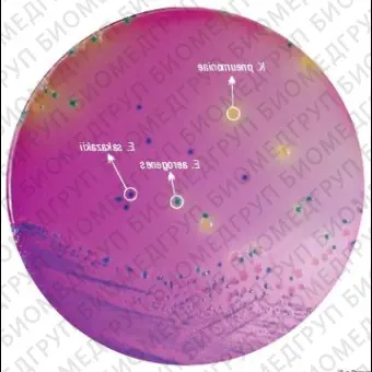 Агар HiCrome для выделения и идентификации Enterobacter sakazakii 500 г ФСЗ 2009/03705