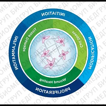 Панель nCounter Fibrosis