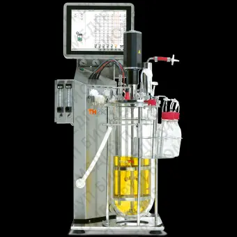 Биореактор бактериальный, стеклянные сосуды 2 л, 3,6 л, 7,5 л или 13 л на выбор, контроль 24 параметров, Labfors 5, Infors, Labfors5
