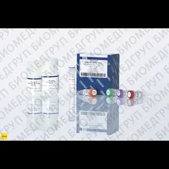 Набор FastLane Cell cDNA Kit 50, Qiagen, 215011, 50 реакций