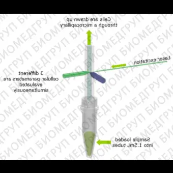 Проточный цитофлуориметр, 1 лазер, 2 флуоресцентных параметра, Muse, Luminex, 05003115