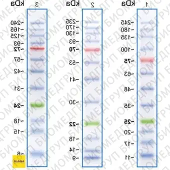 Маркеры белковые молекулярного веса, предокрашенные, Prism Ultra, 10245 кДа, 12 полос, Abcam, ab116028, 500 мкл