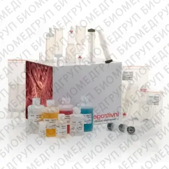 Набор PureLink Fast LowEndotoxin Maxi Plasmid Purification Kit, Thermo FS, A36228, 20 выделений