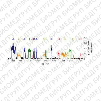 Программное обеспечение для последовательности оснований в ДНК Primary Analysis