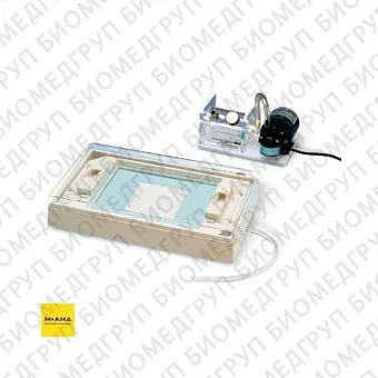 Система вакуумблоттинга Model 785 Vacuum Blotter для обработки мембран, с регулятором, BioRad, 1655000