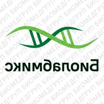 Набор для выделения ДНК из реакционных смесей250 выделений
