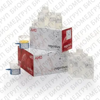 Набор PureLink HiPure Expi Plasmid Megaprep Kit, Thermo FS, K210008XP, 4 выделения