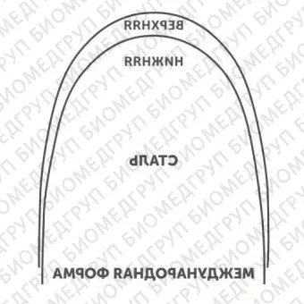 Дуги ортодонтические международная форма Нержавеющая сталь для верхней челюсти SS U .016/.41