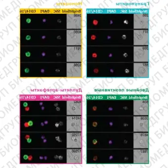 Проточный цитофлуориметр, до 7 лазеров, до 10 флуоресцентных параметров, с визуализацией, Amnis ImageStreamX Mark II, Luminex, 100220