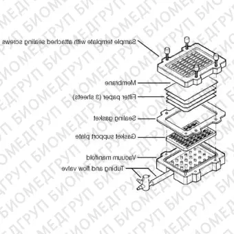 Система вакуумблоттинга BioDot, на 96 образцов, BioRad, 1706545вв