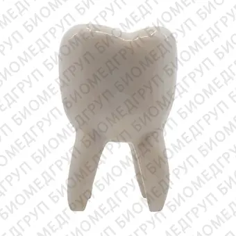 Декоративный зуб из керамики, большой