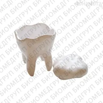 Декоративный зуб из керамики с крышкой, малый