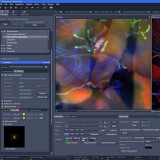 Программное обеспечение для цифровых микроскопов ZEN