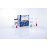 Набор для количественной ПЦР в режиме реального времени Type-it Mutation Detect PCR Kit, Qiagen, 206343, 200 реакций