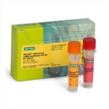 Набор для синтеза кДНК iScript Advanced cDNA Synthesis Kit, Bio-Rad, 1725038, 100 x 20 мкл