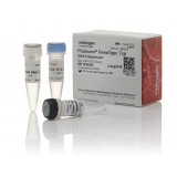 ДНК-полимераза Platinum GenoType Tsp DNA Polymerase, Thermo FS, 11448032, 2500 единиц