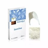 OsteoBiol Lamina Soft Cortical Semi. 35x35 мм 1.0 мм. Пластина гетерологичная кость. Свиная