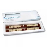 Spofadent Plus (В1) 53-53-1/74