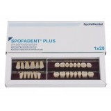 Spofadent Plus (С3) 1/40-0/7-1/62