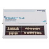 Spofadent Plus (С3) 1/22-0/0-1/72