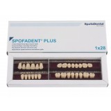 Spofadent Plus (А3,5) 1/22-0/0-1/72