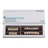 Spofadent Plus (А3) 1/21-0/2-1/60