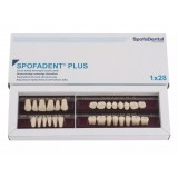 Spofadent Plus (В2) 1/17-0/6-77N