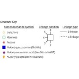 Стандарт N-гликанов AdvanceBio APTS G0F / FA2 (ранее ProZyme)