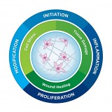 Панель nCounter Fibrosis