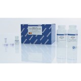 Набор QIAquick PCR Purification Kit для очистки ПЦР-продуктов(50 реакций)