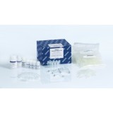 Набор QIAamp PowerFecal Pro DNA Kit для выделения микробной ДНК из биологического стула и кишечного материала(50 реакций)