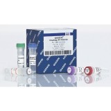 Набор OneStep RT-PCR Kit(100 реакций)