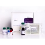 Набор реагентов SVANOVIR®® IBR-Ab Screen для обнаружения антител к герпес-вирусу КРС типа 1 методом ИФА (стрипованные планшеты)(10 планшетов)
